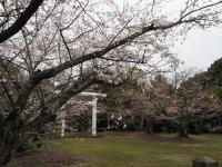 八田山公園（2023年）の画像13
