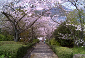 瀬戸公園の画像