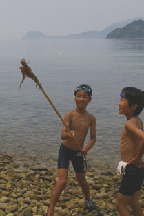 子ども農山漁村交流プロジェクト体験の画像5