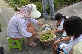 子ども農山漁村交流プロジェクト体験の画像8