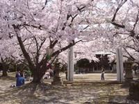 八田山公園の画像