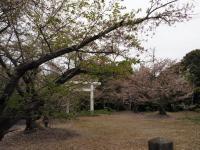 八田山公園（2023年）の画像1