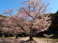 八田山公園（2023年）の画像5