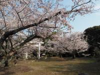 八田山公園（2023年）の画像7
