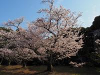 八田山公園（2023年）の画像8