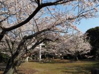 八田山公園（2023年）の画像10