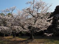 八田山公園（2023年）の画像11