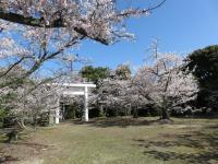 八田山公園（2023年）の画像16