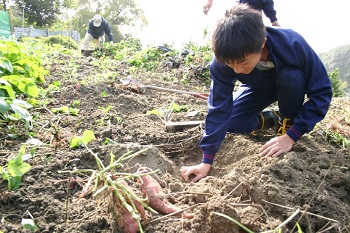 湘南学園中学校民泊体験の画像13