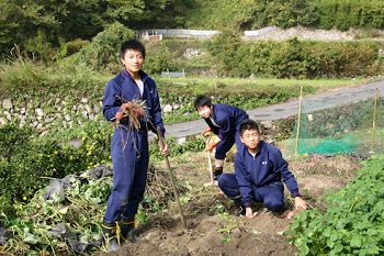 湘南学園中学校民泊体験の画像14