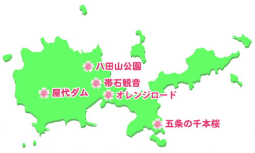 桜の開花状況地図