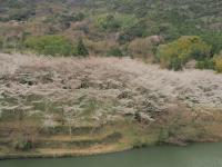 0401　屋代ダム1