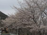 0401　屋代ダム2