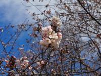 0326　オレンジロード3