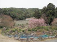 0401　帯石観音1