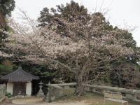 0401　帯石観音2