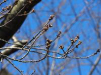 0327　瀬戸公園3