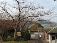 0327　瀬戸公園2