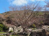 0326　オレンジロード2