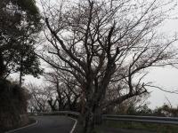 0401　五条2