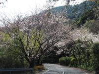 0403　五条1