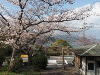 0403　瀬戸公園1