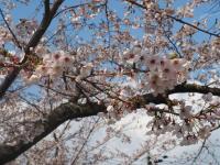 0403　瀬戸公園3