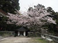 0406　帯石観音2