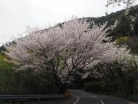 0406　五条1