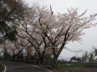 0406　五条2