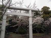 0406　八田山2