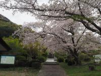 0406　瀬戸公園1