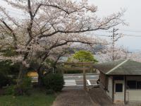 0406　瀬戸公園2